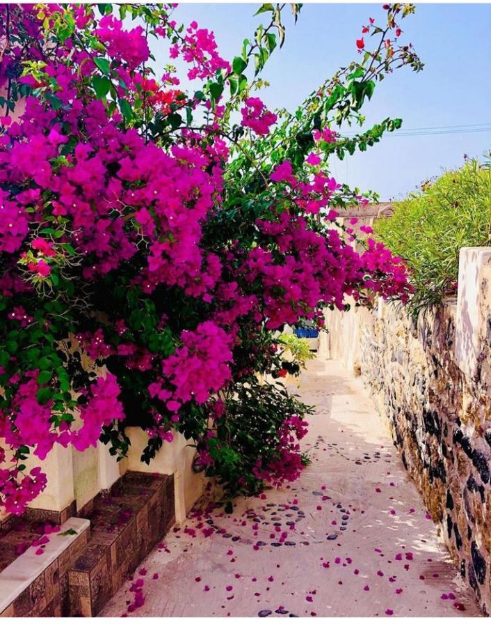 Loukas Kontos Traditional House Emporio (Santorini) Exterior foto
